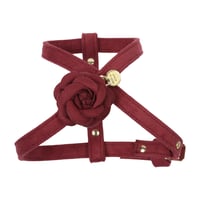 Art. g1671N harness Scarlet