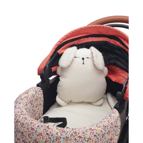 Grumply Mini Pillow & Back Cushion