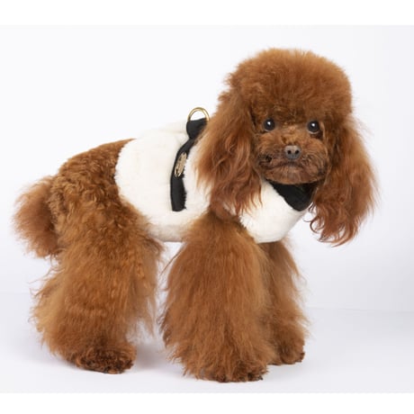 Art. 9026 harness jacket Bellami