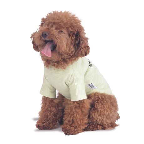 【即納】　Basic Logo T-shirt