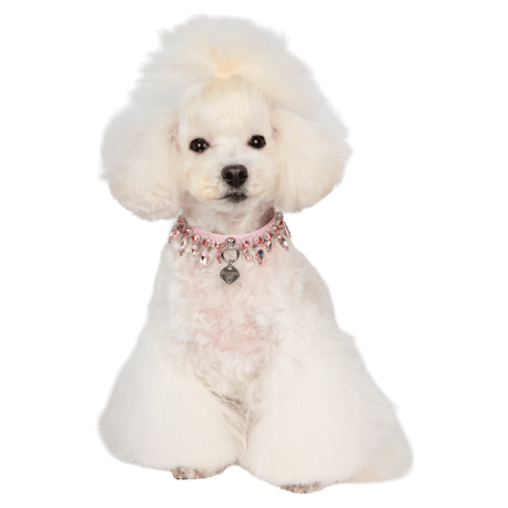 Art. f1619N collar Marianne