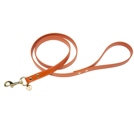 Art. h1566NO leash Hermes (ゴールド仕様)