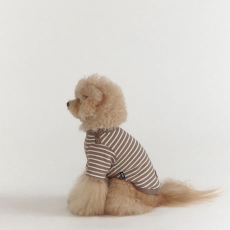 BUTTON SWEAT TEE-BROWN