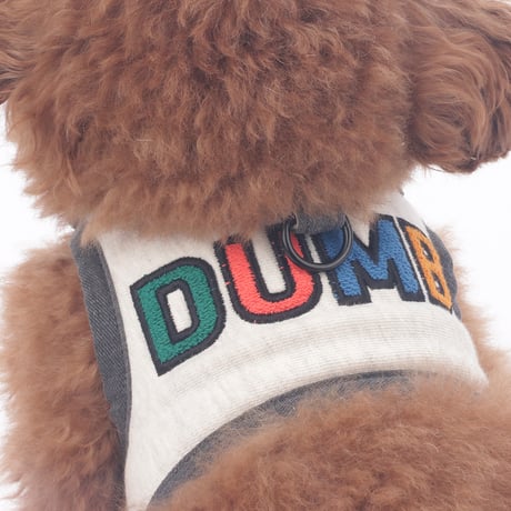 Jolly Dumb Harness Set