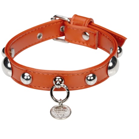 Art. f1598 collar Bull