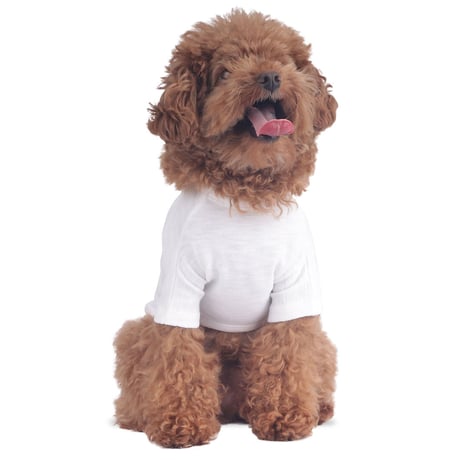 【即納】　Basic Logo T-shirt