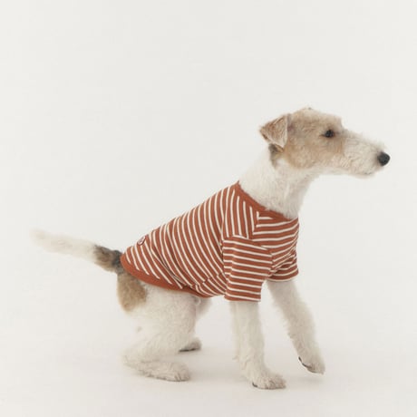 BUTTON SWEAT TEE-DARK ORANGE