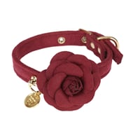 Art. f1671N collar Scarlet