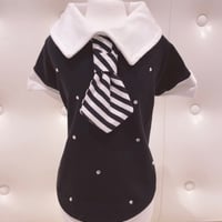 【即納】 Special Stripe tie Arnold