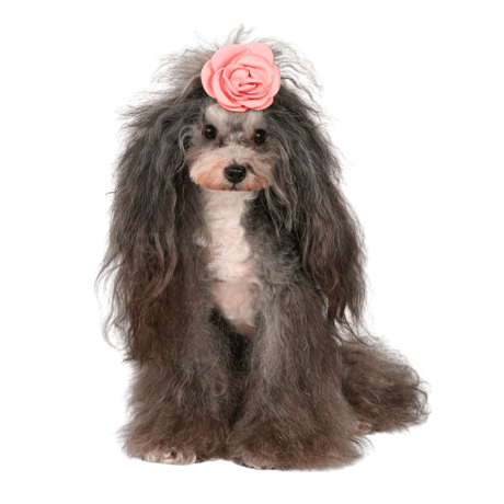 Art. A122N hair-clip Giselle