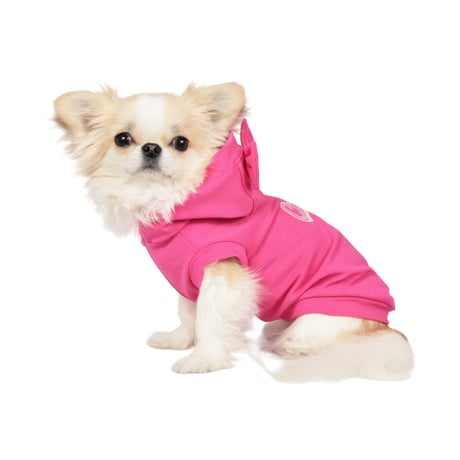 Art. 3146 sweatshirt Charlotte