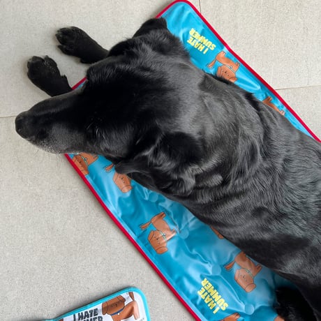 I HATE SUMMER Cool Mat