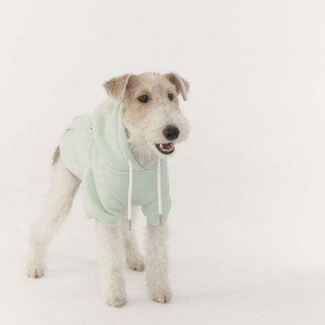 NEW LOGO BIG HOODIE-MINT
