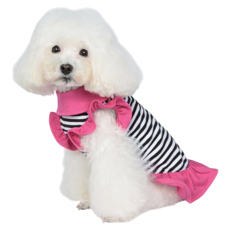 【即納】　Art. 2085 dress Striped Bon ton
