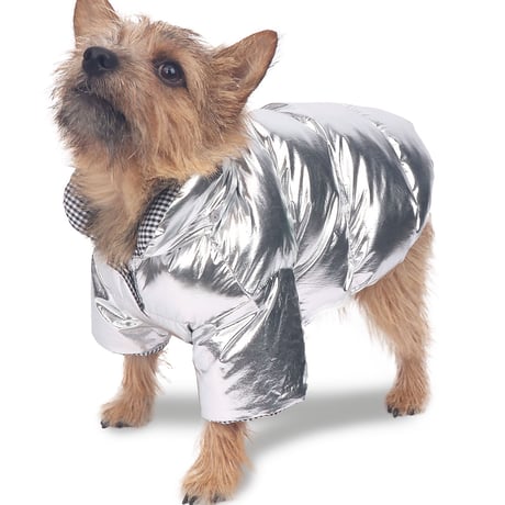 Snowbound Outer Silver