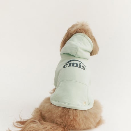 NEW LOGO BIG HOODIE-MINT