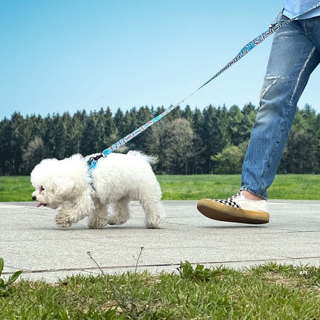 【即納】　Walk with dog_Tomato Ketchup
