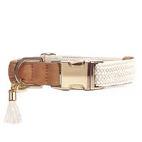 【即納】　Kaya Adjustable Collar
