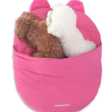 Pink Bear Fogny
