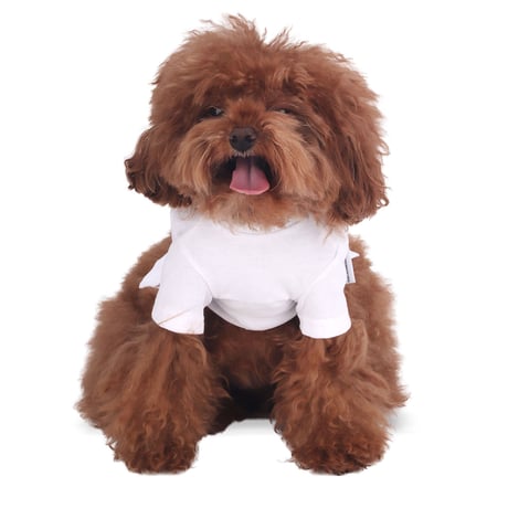 【即納】　The Dog Walker Club Sleeve Tee for Dog