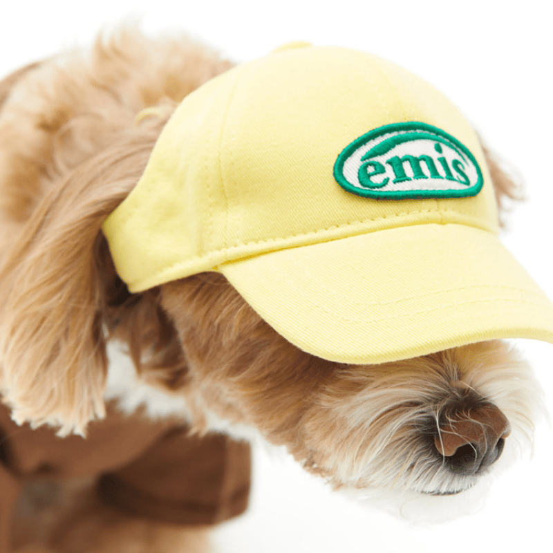 【emis】LETTERING LOGO BALL CAP/ペットとペアルック帽子 WAPPEN BALL CAP-YELLOW | Chuck's TOKYO Boutique