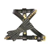 Art. g1674N harness Clio