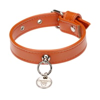 Art. f1566N collar Hermes(シルバー仕様)