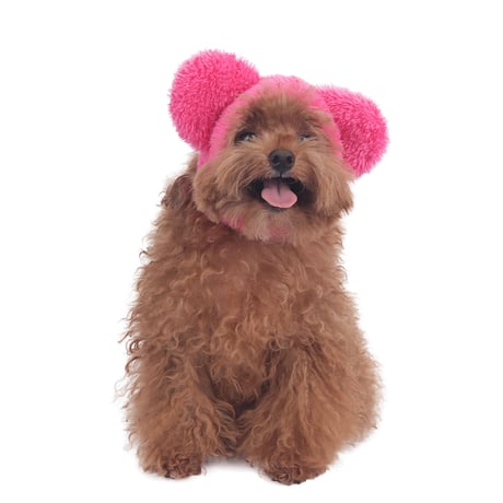 【即納】　pink bear hat