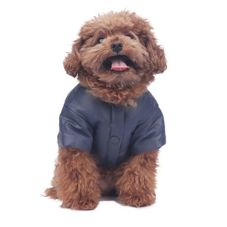 【即納】　Sleepy Dog Reversible Jacket
