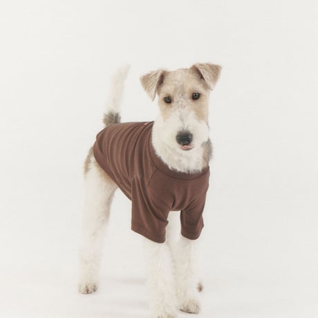 MINI WAPPEN TEE-LIGHT BROWN