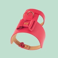 Bijou Dog Harness RED