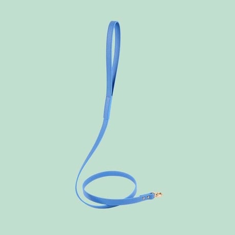 Balley Dog Leash BULE