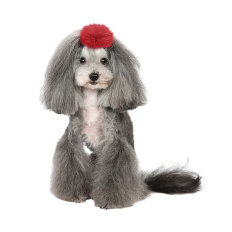 Art. A141N hair-clip Fluffy
