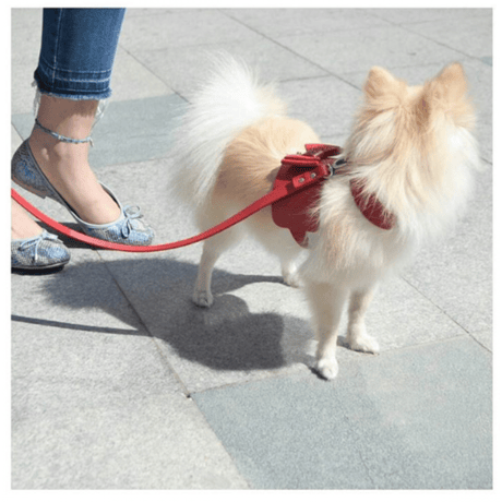 Bijou Dog Harness RED