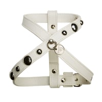 Art. g1598 harness Bull
