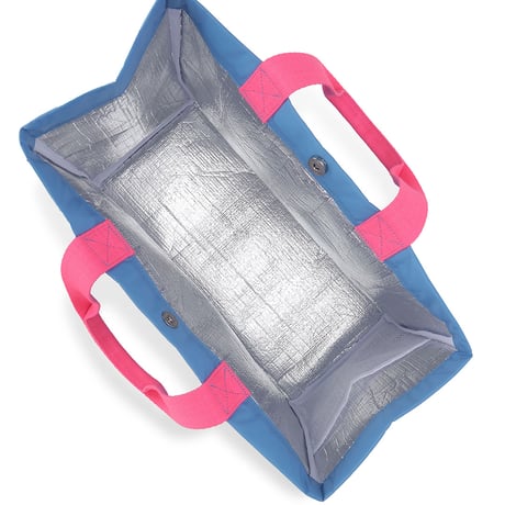 Go Out Picnic Bag_Ligrt Blue