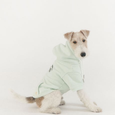 NEW LOGO BIG HOODIE-MINT