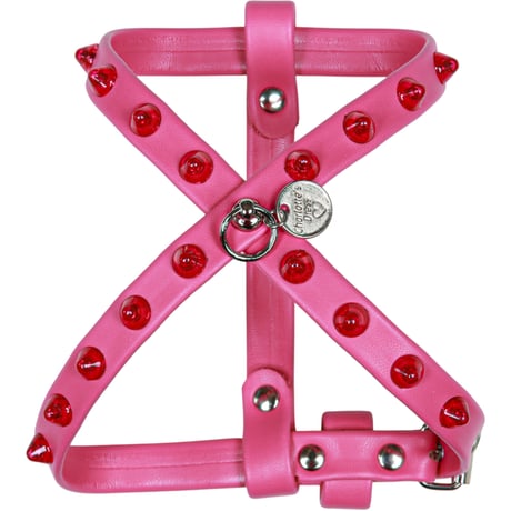 Art. g1105N harness Dana
