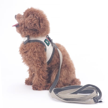Jolly Dumb Harness Set