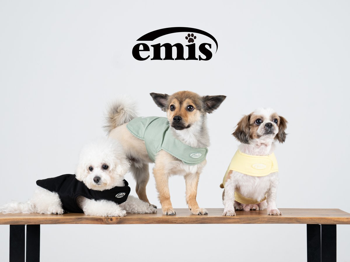 emis 犬服 emis日本初上陸！ | Chuck's TOKYO Boutique