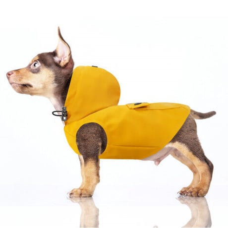 【即納】　Babord Raincoat with Removable Hood