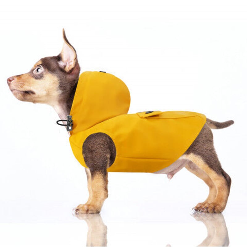 Babord Raincoat with Removable Hood | Chuck's T