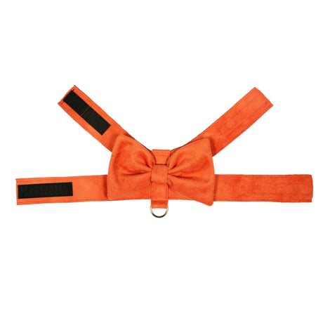 Art. 9023 harness top Connie