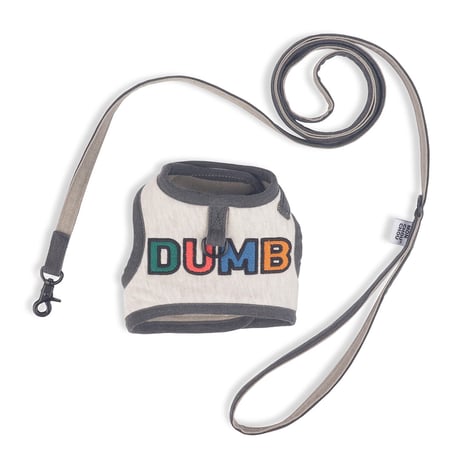 Jolly Dumb Harness Set