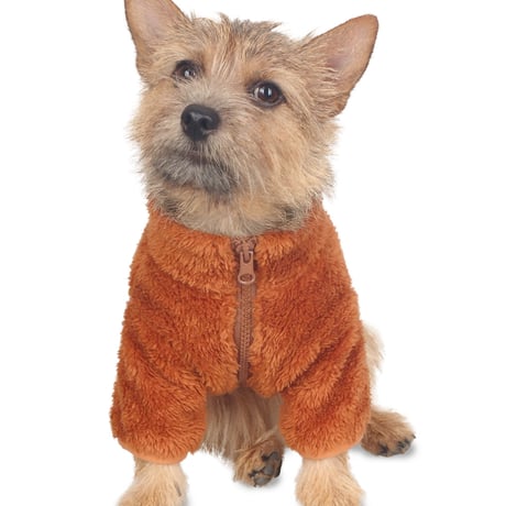 【即納】　Country dog Fur zip-up Brown