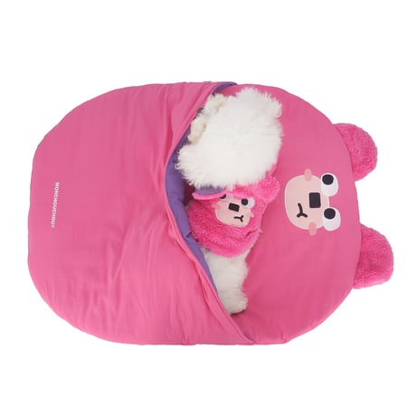 Pink Bear Fogny