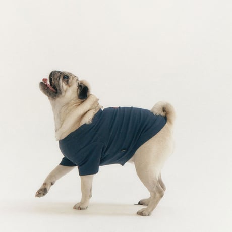 MINI WAPPEN TEE-LIGHT NAVY