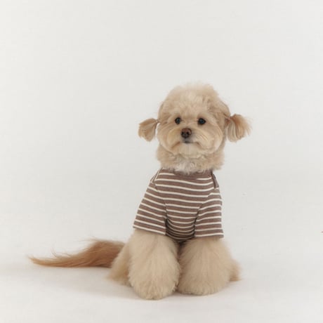 BUTTON SWEAT TEE-BROWN