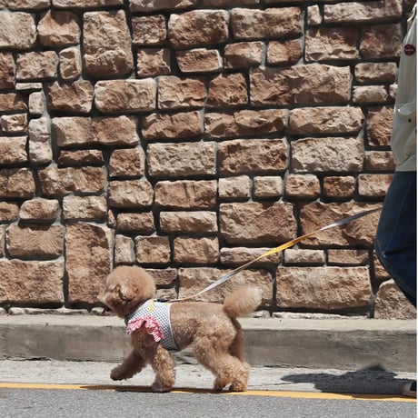 【即納】　Lazy Farm Mesh Harness