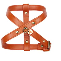 Art. g1141NO15 harness So Chic adjustable(ゴールド仕様)